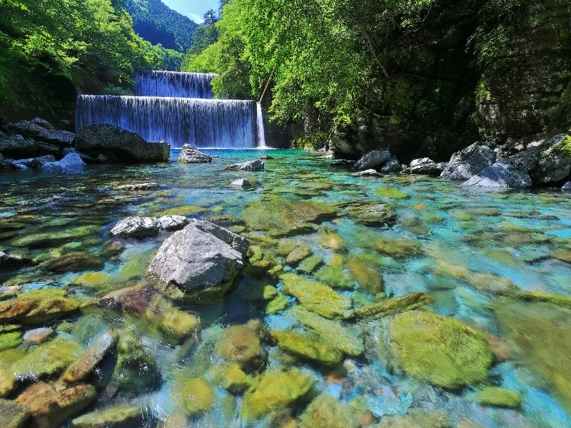 高知県